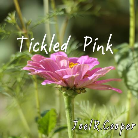Tickled Pink cover art