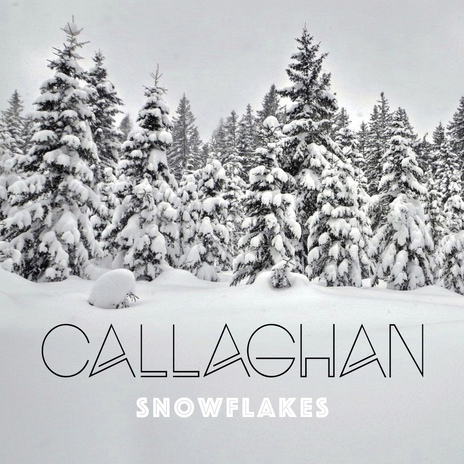 Snowflakes cover art