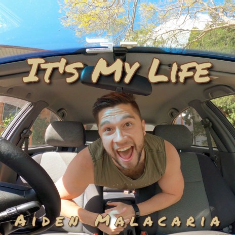 It's My Life cover art