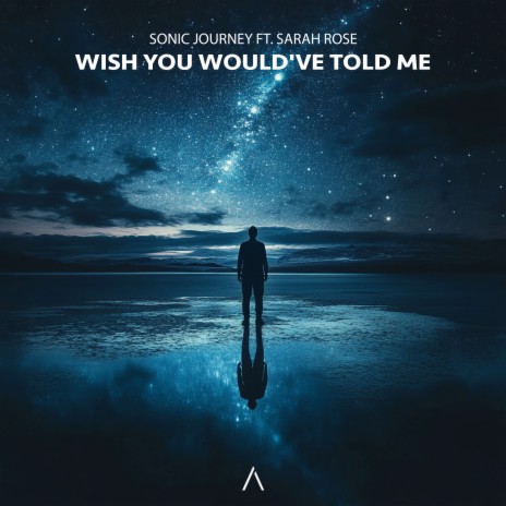Wish You Would've Told Me ft. Sarah Rose cover art