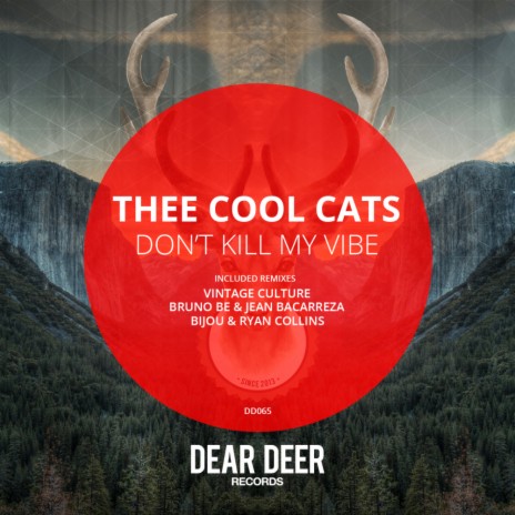 Don't Kill My Vibe (Vintage Culture Remix) cover art