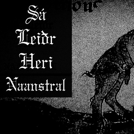 Sá leiðr heri cover art