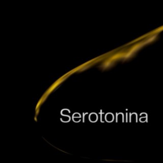 Serotonina ft. CLAUSTRO & Ricardo Costa cover art