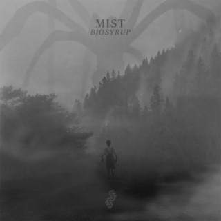 Mist cover art