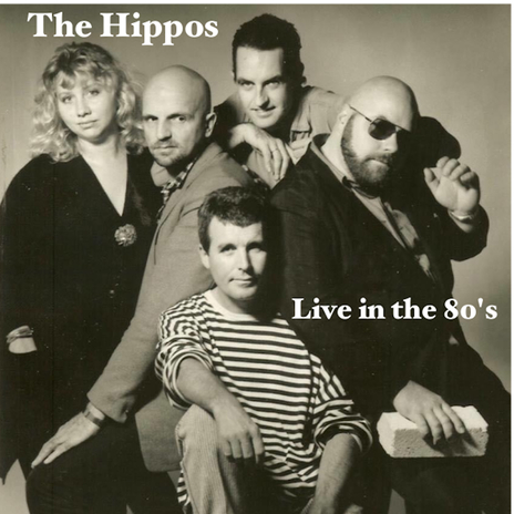 Tiny Blues (Live) cover art