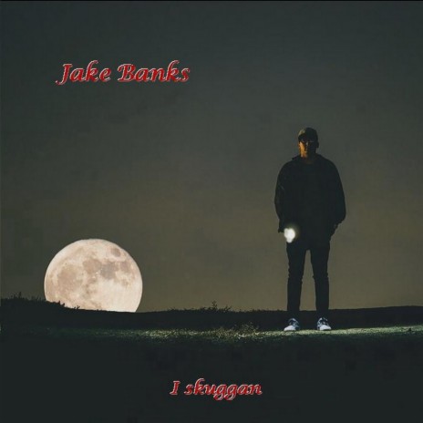 I skuggan cover art