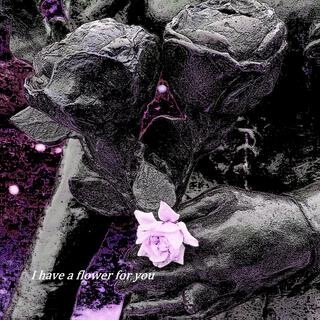 I have a flower for you..