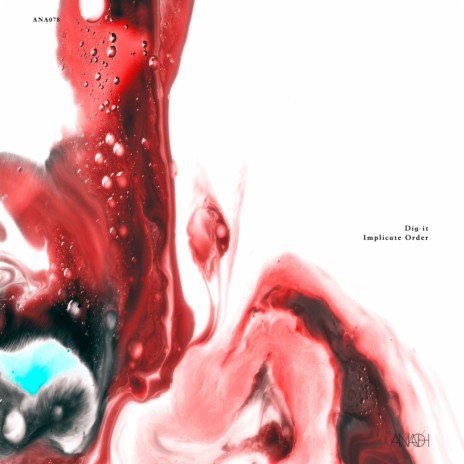 Implicate Order (Original Mix) cover art