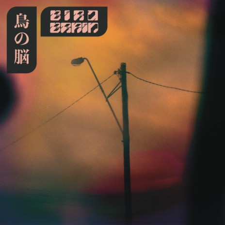 Bird Brain cover art