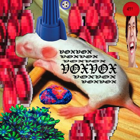highvox cover art