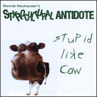 Stupid Like Cow