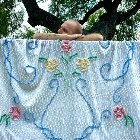 Blanket cover art