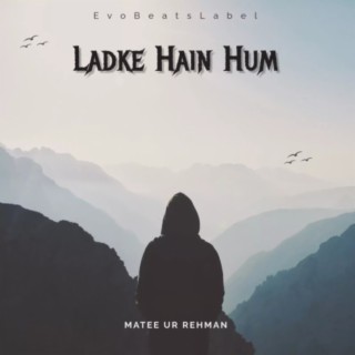 Ladke Hain Hum cover art