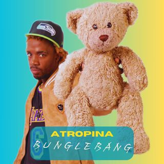 Bungle Bang cover art