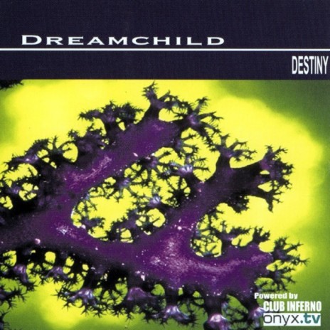 Destiny (Spain Radio) cover art