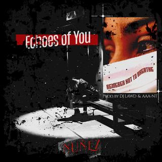 Echoes of You - Remember Not to Breathe ft. DJ LAWD cover art