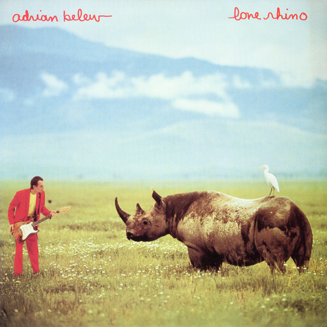 The Lone Rhinoceros