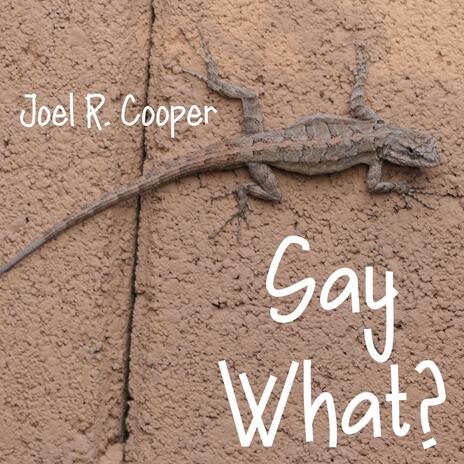 Say What? cover art
