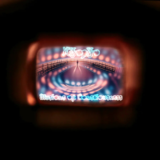 Illusions of Consciousness