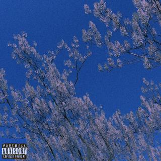 MISTAKE cover art