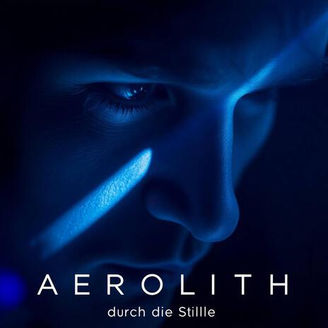 Durch die Stille cover art