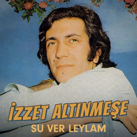 Elveda Sevgilim cover art