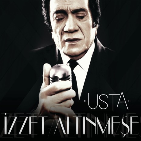 Erzincanım cover art
