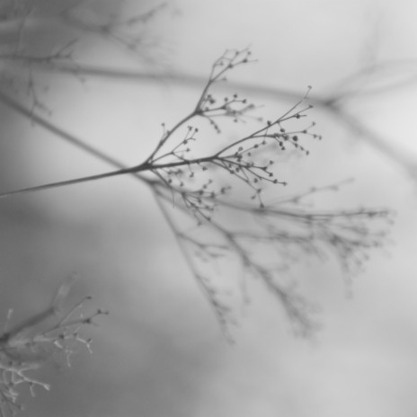 Broken Things Are The Glue of The World