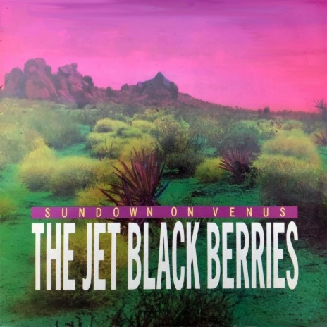 Jet Black Berries