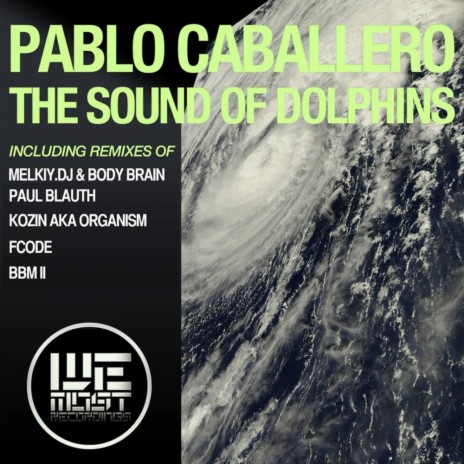 The Dolphins Sounds (BBM II Remix) cover art