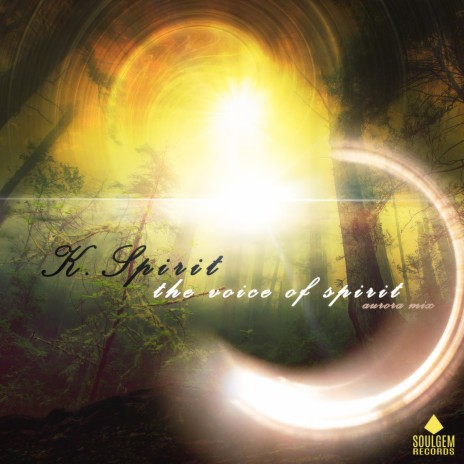The voice of spirit (Aurora Mix) ft. VALERIA TEMPESTA cover art
