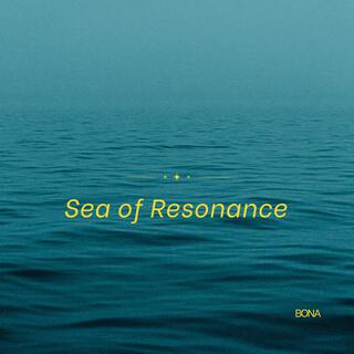 Sea of Resonance