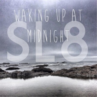 Sl8