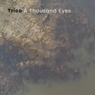 A Thousand Eyes cover art