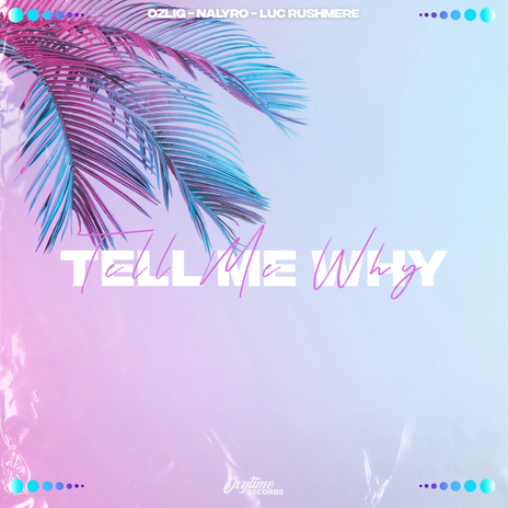 Tell Me Why ft. Luc Rushmere & NALYRO cover art