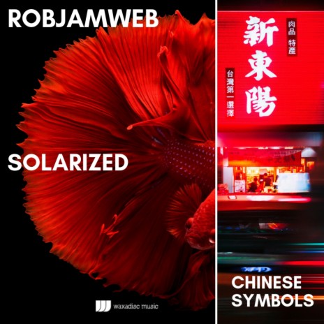 Chinese Symbols (Original Mix) cover art