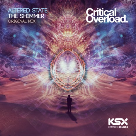 The Shimmer (Original Mix) cover art