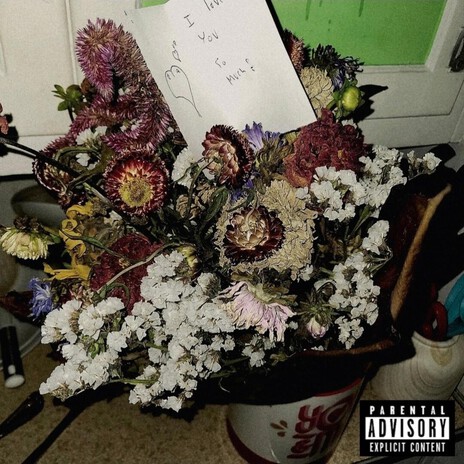 Loser cover art