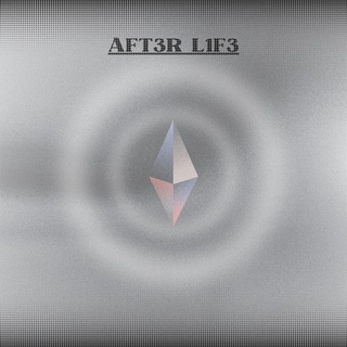 AFT3R_L1F3