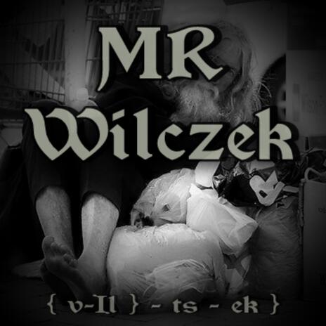 Mr Wendal cover art