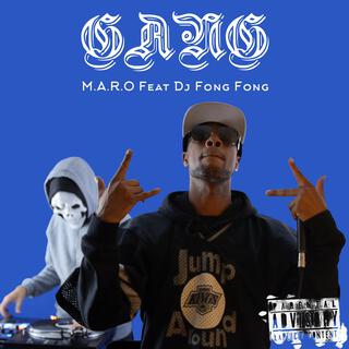 GANG ft. DJ Fong Fong cover art