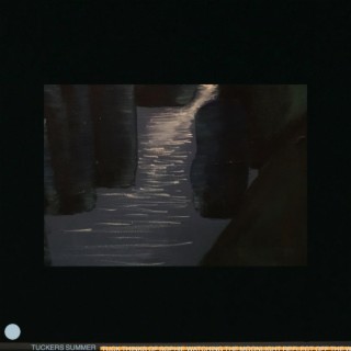 I. TUCK THINKS OF SOPHIE WHILE WATCHING THE MOONLIGHT REFLECT OFF THE WATER cover art