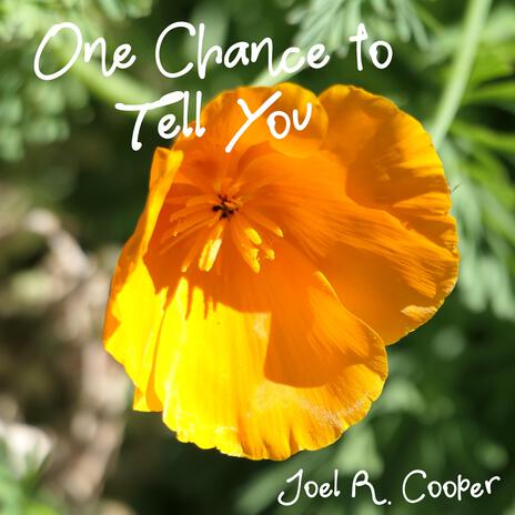 One Chance to Tell You cover art