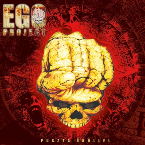 Megkopott zenész cover art