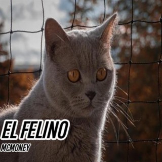 El Felino cover art