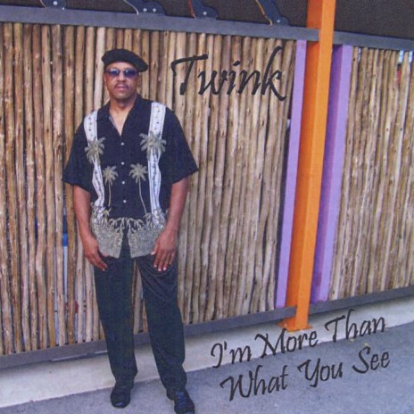Is the Funk What You Want cover art