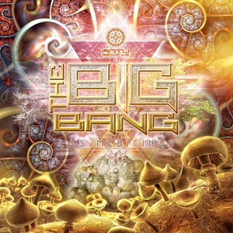 The Upset (The Big Bang Remix) cover art
