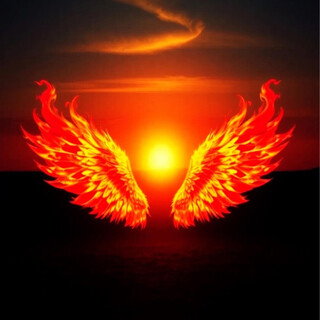 Fly towards the Sunset cover art