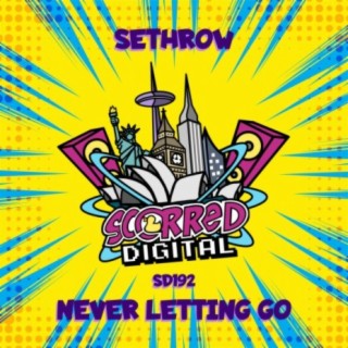 Never Letting Go (Original Mix) cover art