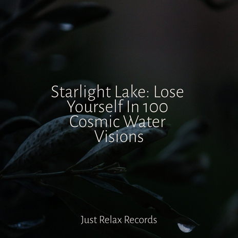 Mystic Journeys Ahead ft. Meditation & PowerThoughts Meditation Club